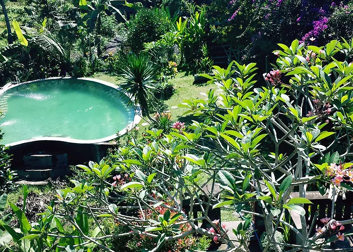 Terrace Campuhan Guest house Ubud (Bali)