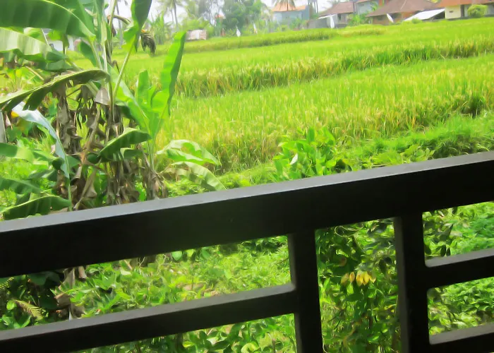 Guest house Terrace Campuhan