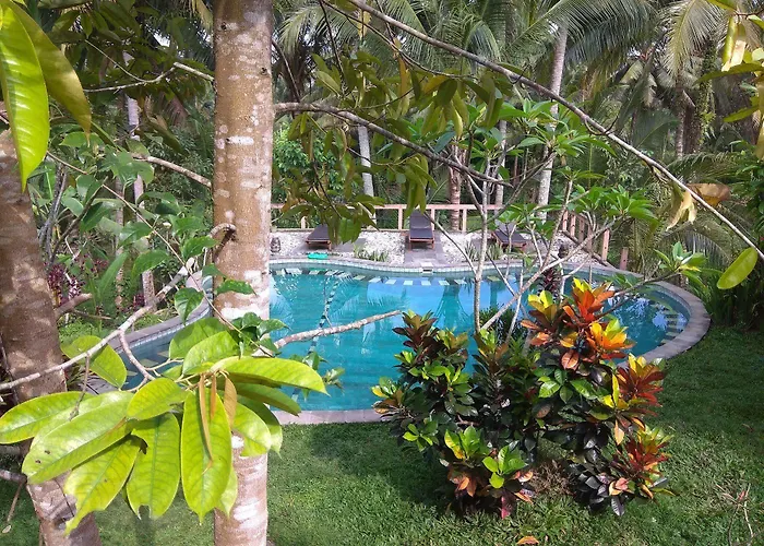 Guest house Terrace Campuhan Ubud (Bali)